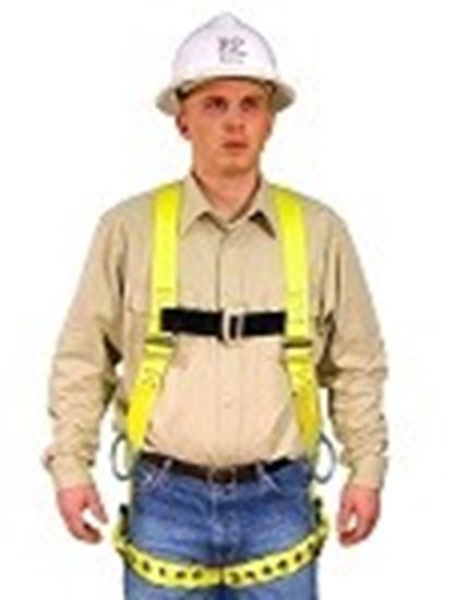 Picture of Full Body Harness Model: 650B