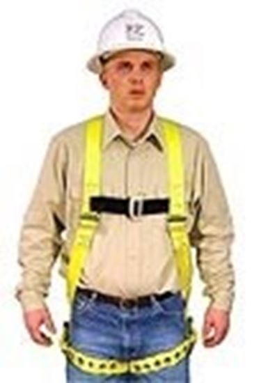 Picture of Full Body Harness Model: 650