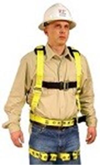 Picture of Full Body Harness Model: 750