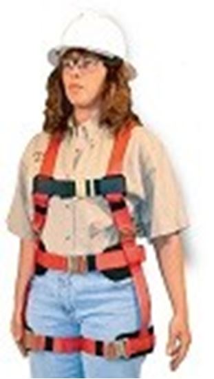 Picture of 872 Female full body harness