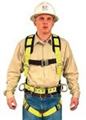 Picture of Full Body Harness Model: 870BP
