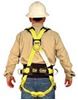 Picture of Full Body Harness Model: 853AB