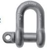 Picture of CHICAGO Drop Forge Chain Screw Pin Shackle