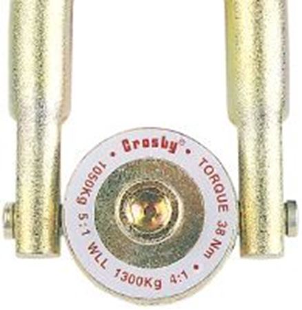 Picture for category Crosby Hoist Rings
